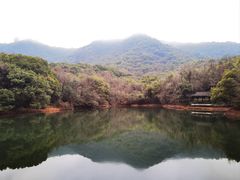 -杭州半山国家森林公园