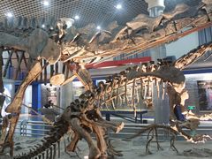 -国家自然博物馆