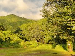 -紫海香堤香草艺术庄园