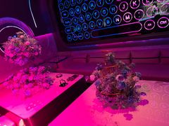 -方糖KTV-PLUS(世茂广场店)