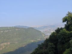 -铁山坪森林公园