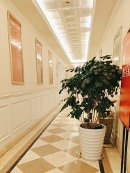 -昆明梦想医疗美容医院