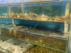 -仙螺岛海鲜自助餐厅(总店)