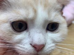 -藏猫猫咖啡主题馆(中央大道店)