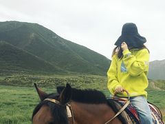 -扁都口生态休闲旅游区