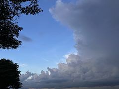 -珍宝海鲜(东海岸海鲜中心)