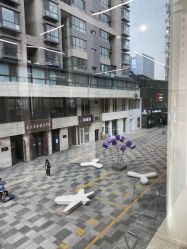 -I+造型烫发染发