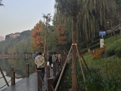 -重庆彩云湖湿地公园