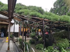 -中村藤吉(本店)
