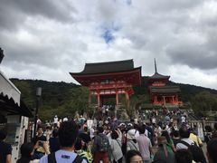 -有栖山 清光院 清水寺