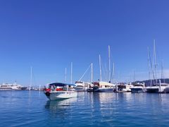 -东姑阿都拉曼海洋公园