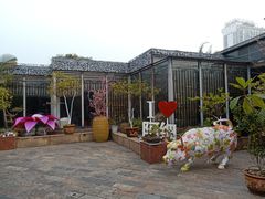 -阿细汉菜(本地盐帮菜名店)