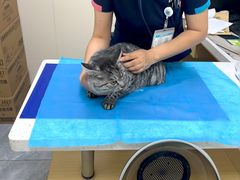 -美联众合爱康动物医院•复杂内科•肿瘤科•牙科•腔镜诊疗中心