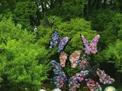 -上海共青森林公园