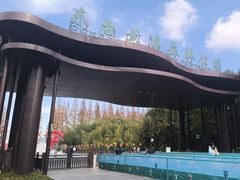 -黄海国家森林公园