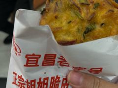 -半月镰胡姐脆皮萝卜饺子