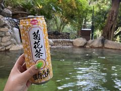 -湖泉半山温泉