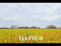 -中国天府农业博览园