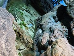 -江和美海洋公园