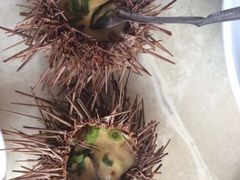 -春华海鲜城(广场西苑店)