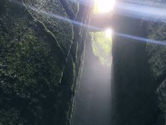 -梦幻奥陶纪景区