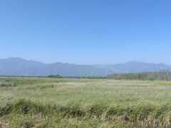 -野鸭湖国家湿地公园