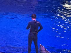 -华夏文旅海洋公园