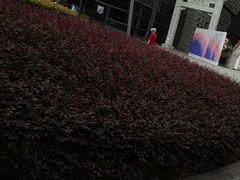 -星巴克(朵云轩店)