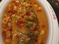 煎烧黄河鲤鱼-阿五黄河大鲤鱼(英协路店)