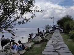 -才村湿地公园