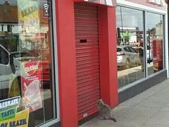 门面-肯德基(新阳光店)