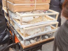 -清真李唯一优质肉丸糊辣汤