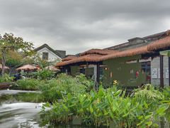 -顺德渔村(华侨城店)