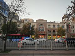 -芦庄子桂顺斋(和平路总店)