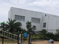 -碧海金沙