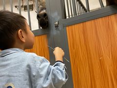 -骑乐马术(广州奥体优托邦中心)