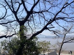 -外蒲山