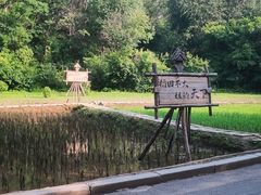 -沈阳植物园