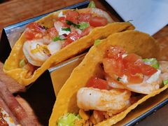 -Famous肥猫墨西哥音乐餐吧(五棵松华熙LIVE店)