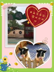 -萌宠亲子动物乐园(槐房万达店)