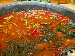 -阳阳老火锅(小南门店)