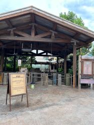 -翱翔飞越地平线