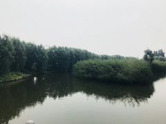 -白洋淀景区
