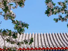 -恭王府博物馆
