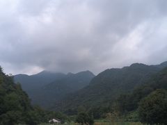 -知鱼轩