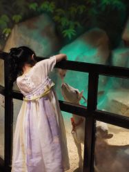 -酷嗒动物文化乐园(cutezoo西溪乐天城店)