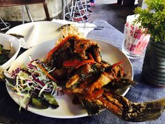 -Dash Teak House