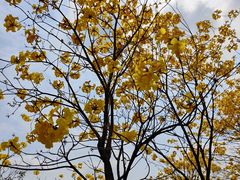 -中国移动南方基地