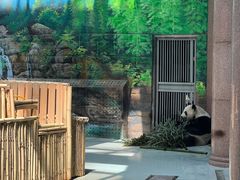 -大青山野生动物园