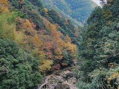 -丹山赤水风景名胜区